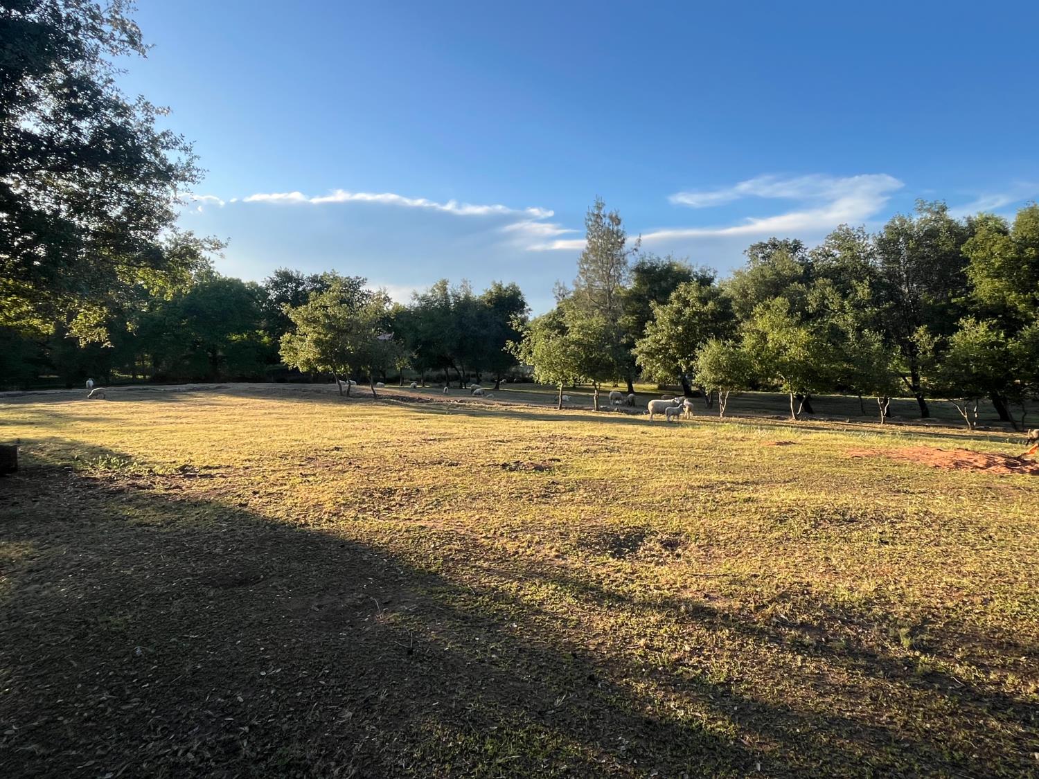 3117 Garden Bar Road Lincoln, CA 95648 - Photo 6 of 41