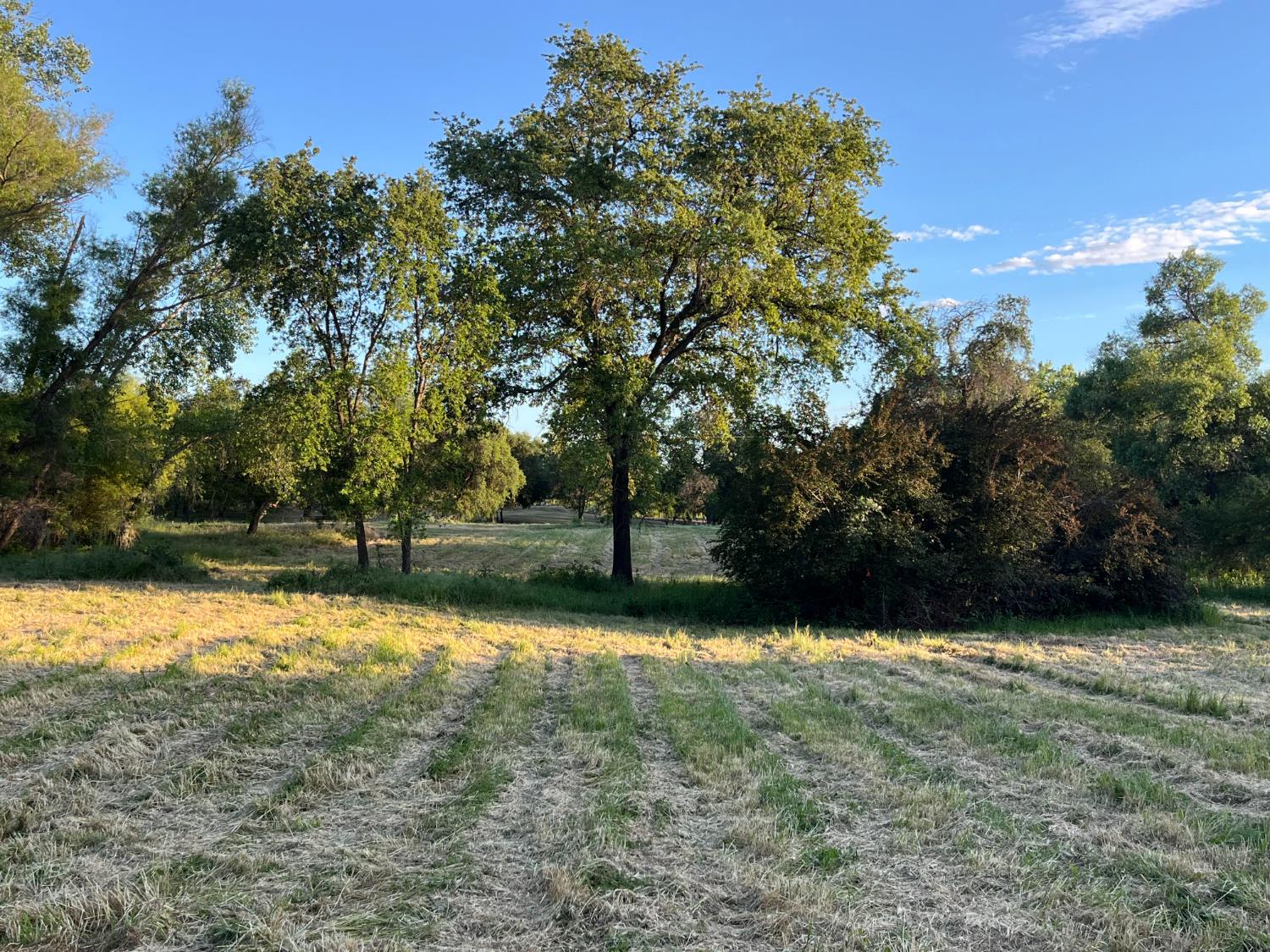 3117 Garden Bar Road Lincoln, CA 95648 - Photo 8 of 41