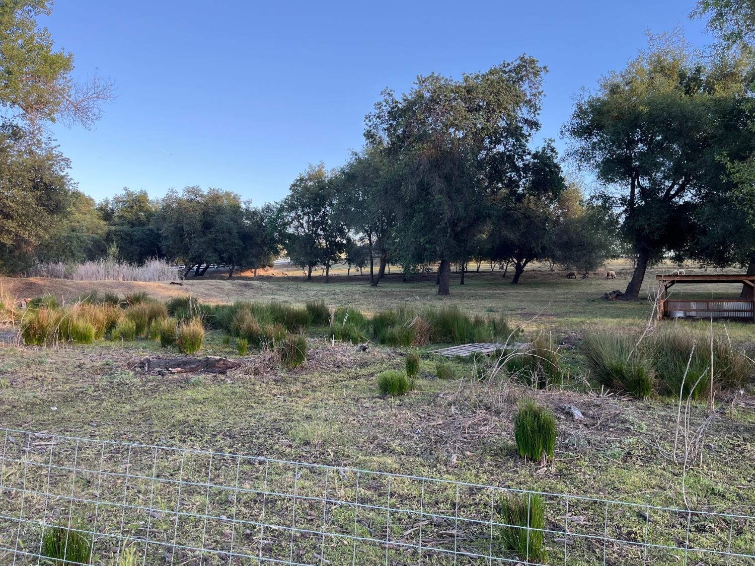 3117 Garden Bar Road Lincoln, CA 95648 - Photo 10 of 41