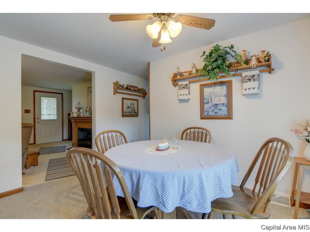 409 Springfield Road Athens, IL 62613 - Photo 8 of 36 Gallery Image 8