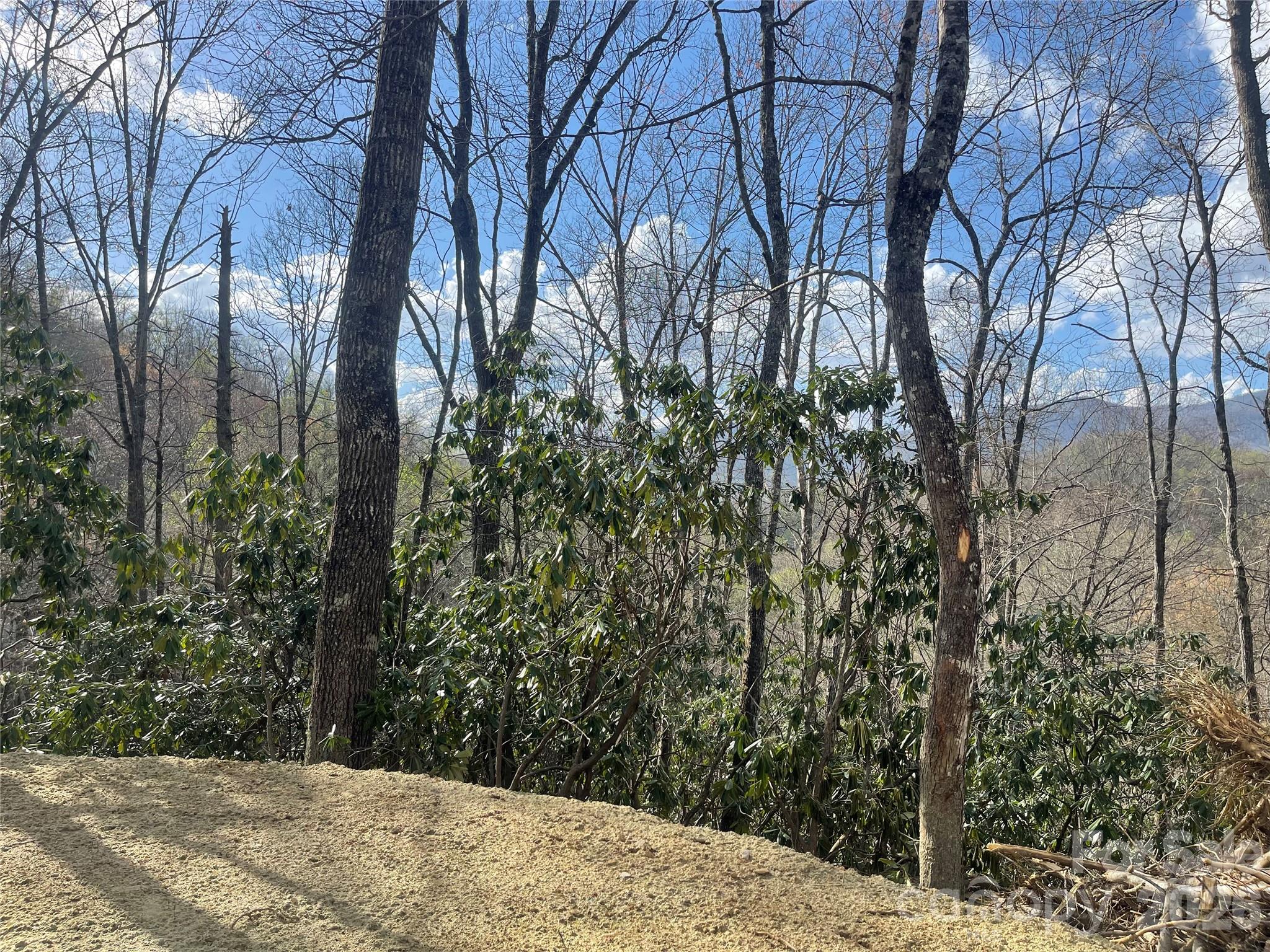 5 Copperhead Cove Road Sylva, NC 28779 - Photo 11 of 27