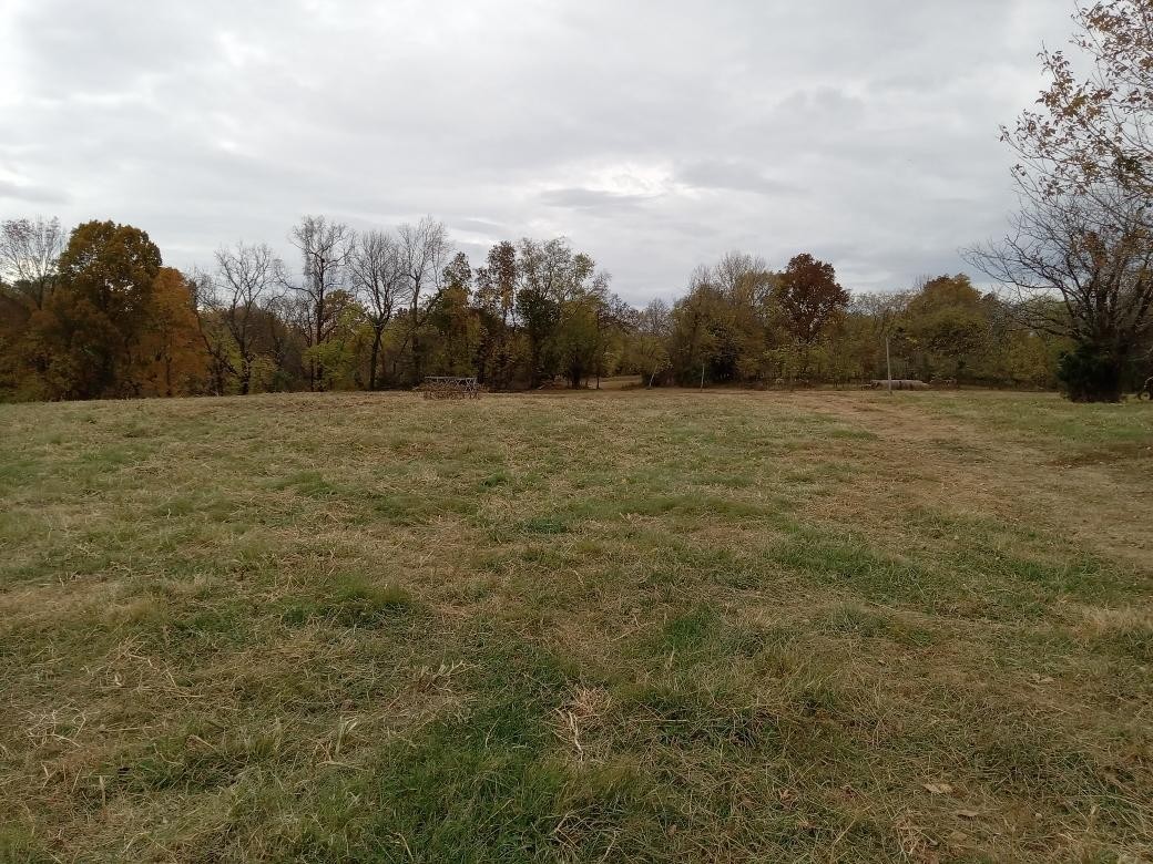 0 Roberts Road Watertown, TN 37184 - Photo 1 of 20 a big yard with lots of tress in the background