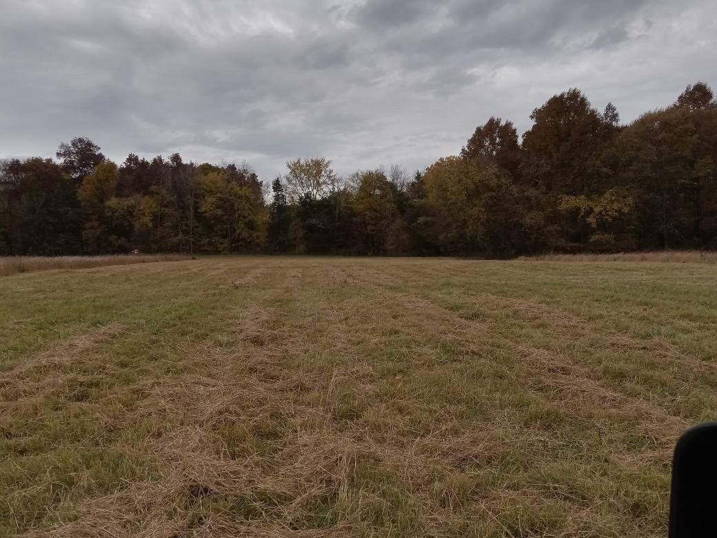 0 Roberts Road Watertown, TN 37184 - Photo 16 of 20 a view of an outdoor space and a yard