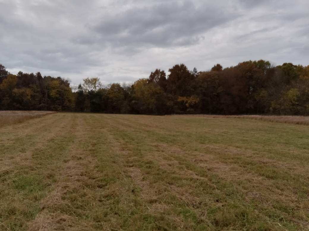 0 Roberts Road Watertown, TN 37184 - Photo 17 of 20 a view of basketball court
