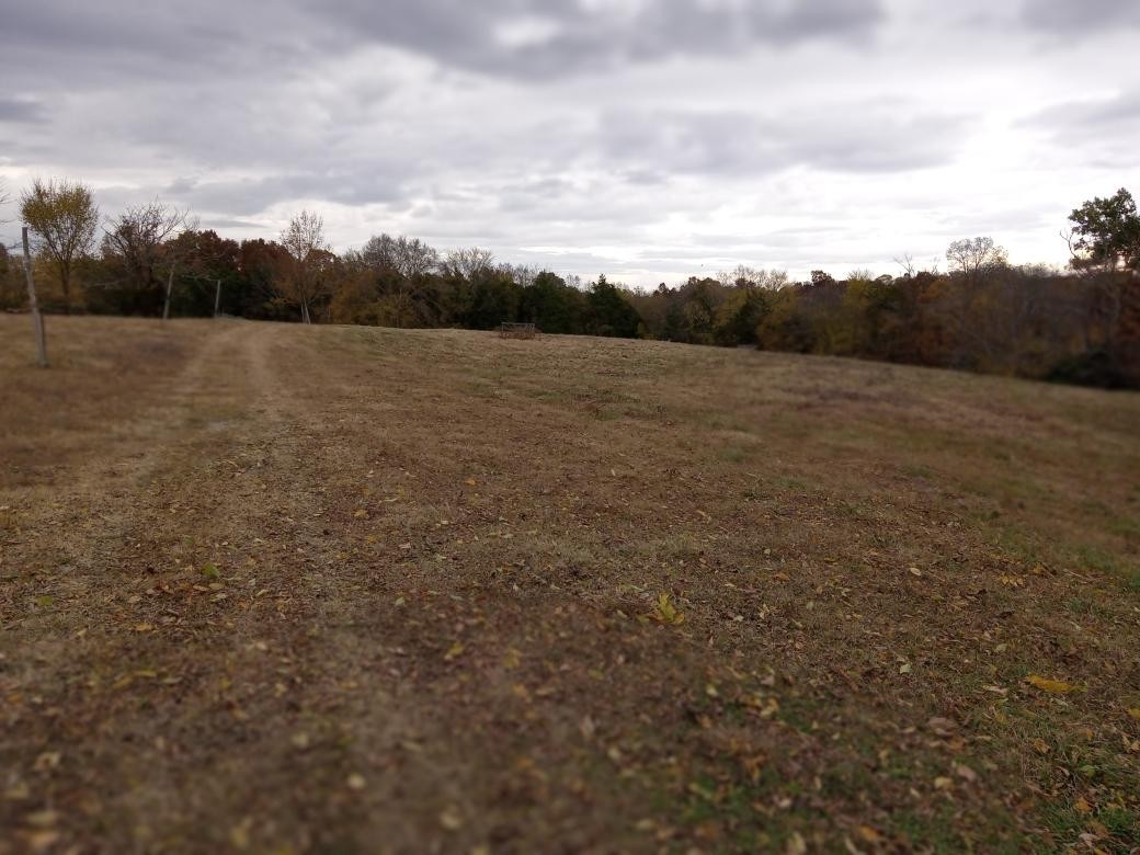 0 Roberts Road Watertown, TN 37184 - Photo 19 of 20 a view of a field with trees in background