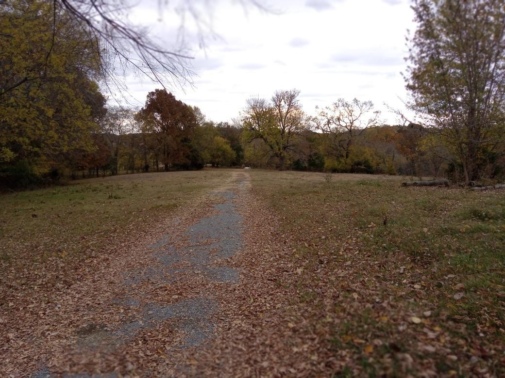 0 Roberts Road Watertown, TN 37184 - Photo 2 of 20 a view of outdoor space and yard