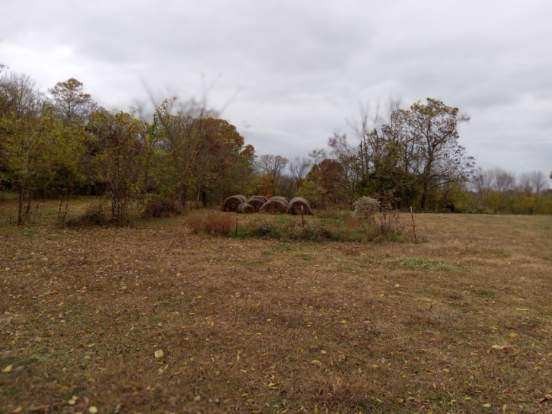 0 Roberts Road Watertown, TN 37184 - Photo 5 of 20 a view of a field with trees in background