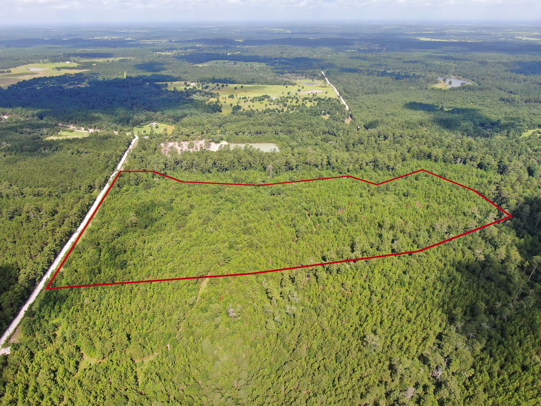 0 Scales Ranch Road Huntsville, TX 77320 - Photo 8 of 22