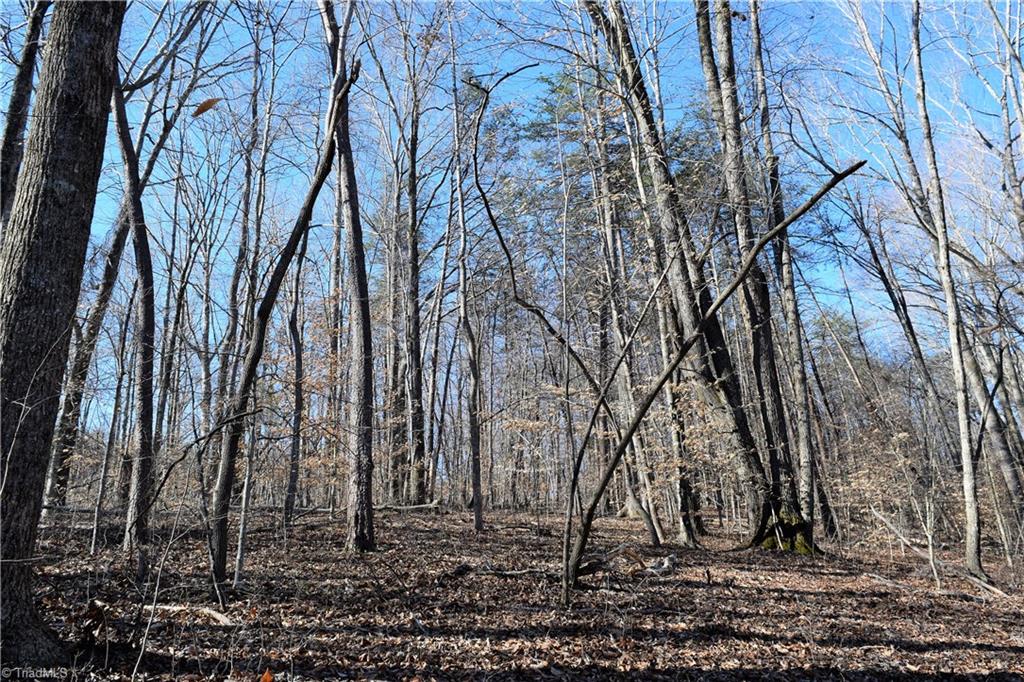 11.59-ac Barham Road Madison, NC 27025 - Photo 11 of 18
