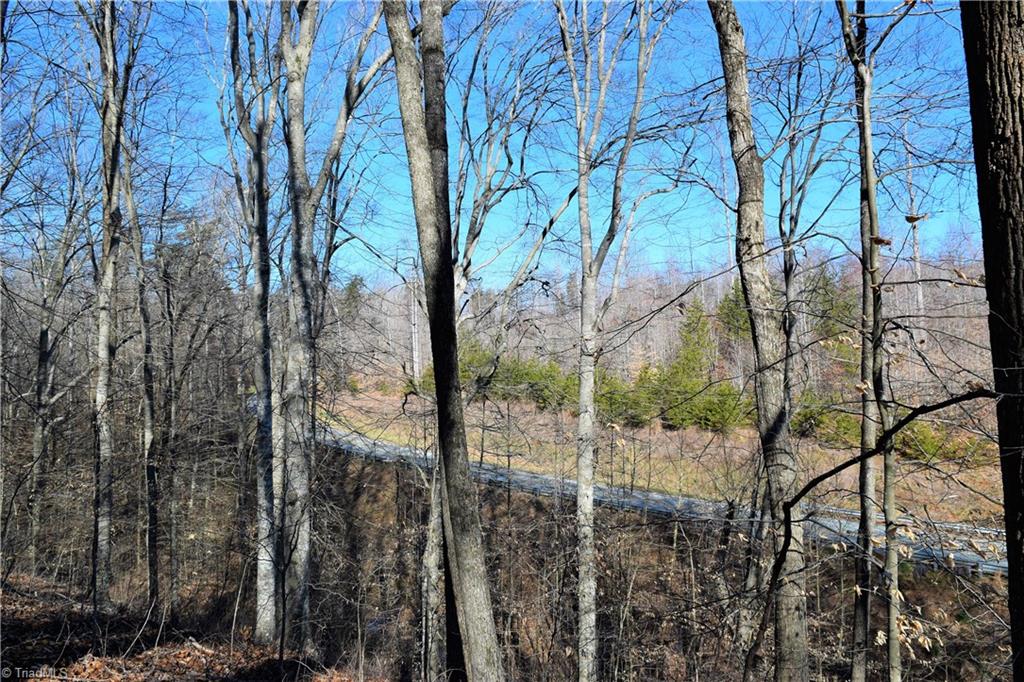 11.59-ac Barham Road Madison, NC 27025 - Photo 12 of 18