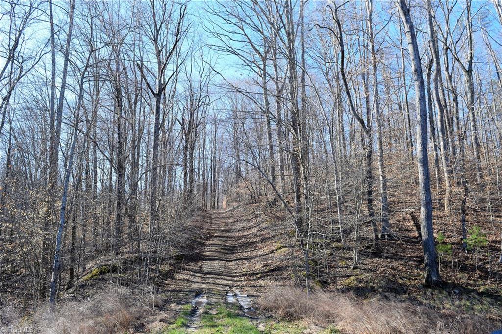 11.59-ac Barham Road Madison, NC 27025 - Photo 13 of 18