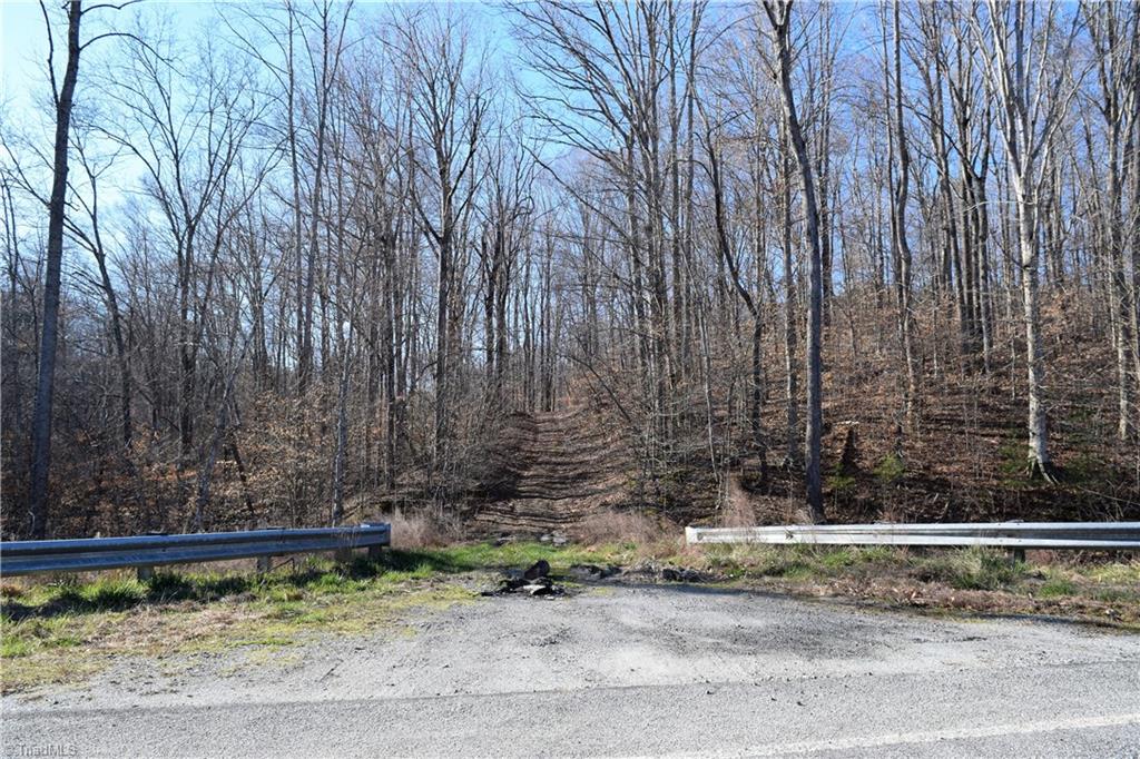 11.59-ac Barham Road Madison, NC 27025 - Photo 14 of 18