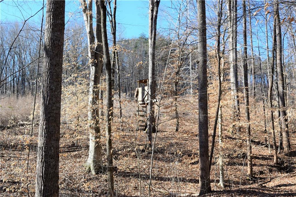 11.59-ac Barham Road Madison, NC 27025 - Photo 5 of 18