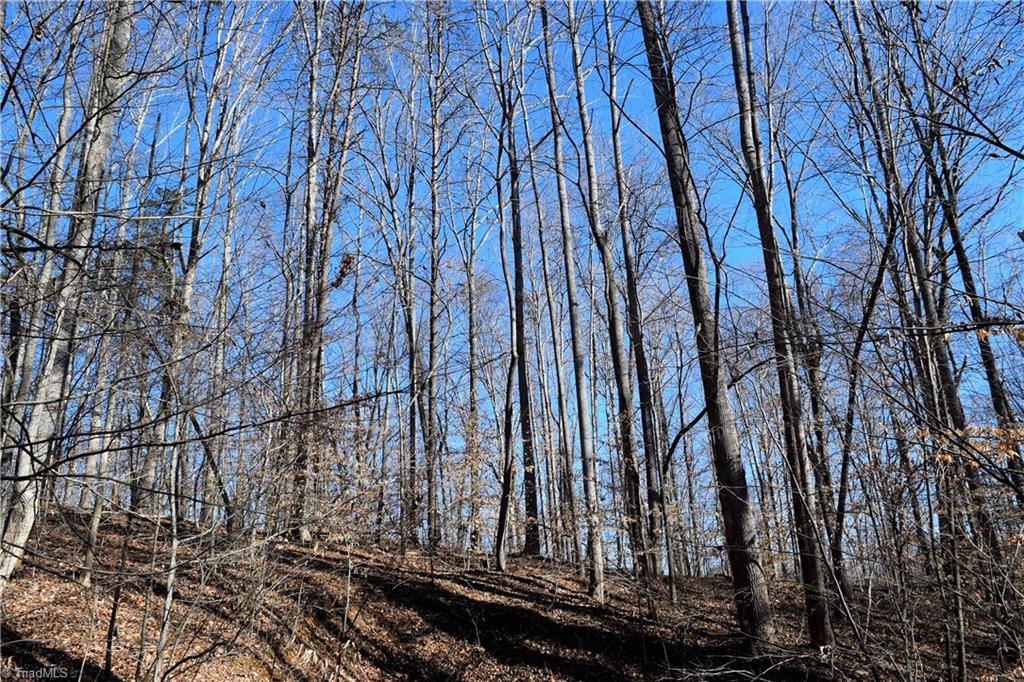 11.59-ac Barham Road Madison, NC 27025 - Photo 8 of 18