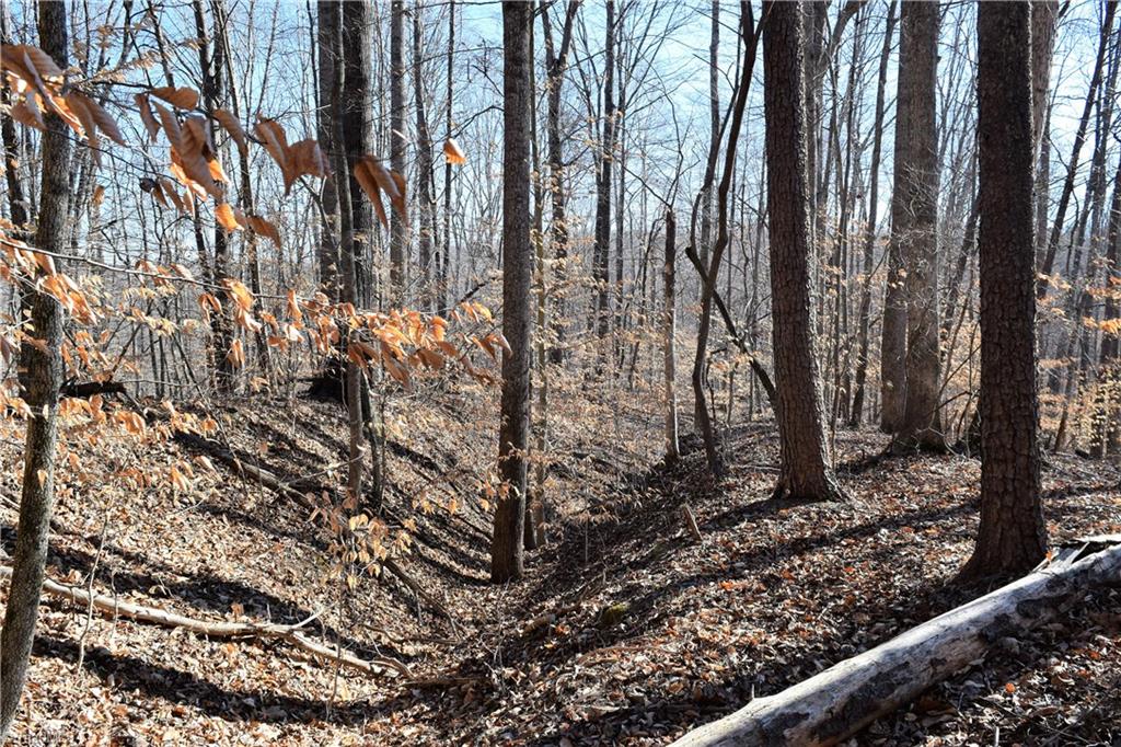 11.59-ac Barham Road Madison, NC 27025 - Photo 9 of 18