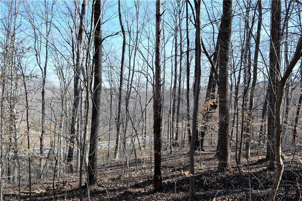 11.59-ac Barham Road Madison, NC 27025 - Photo 10 of 18