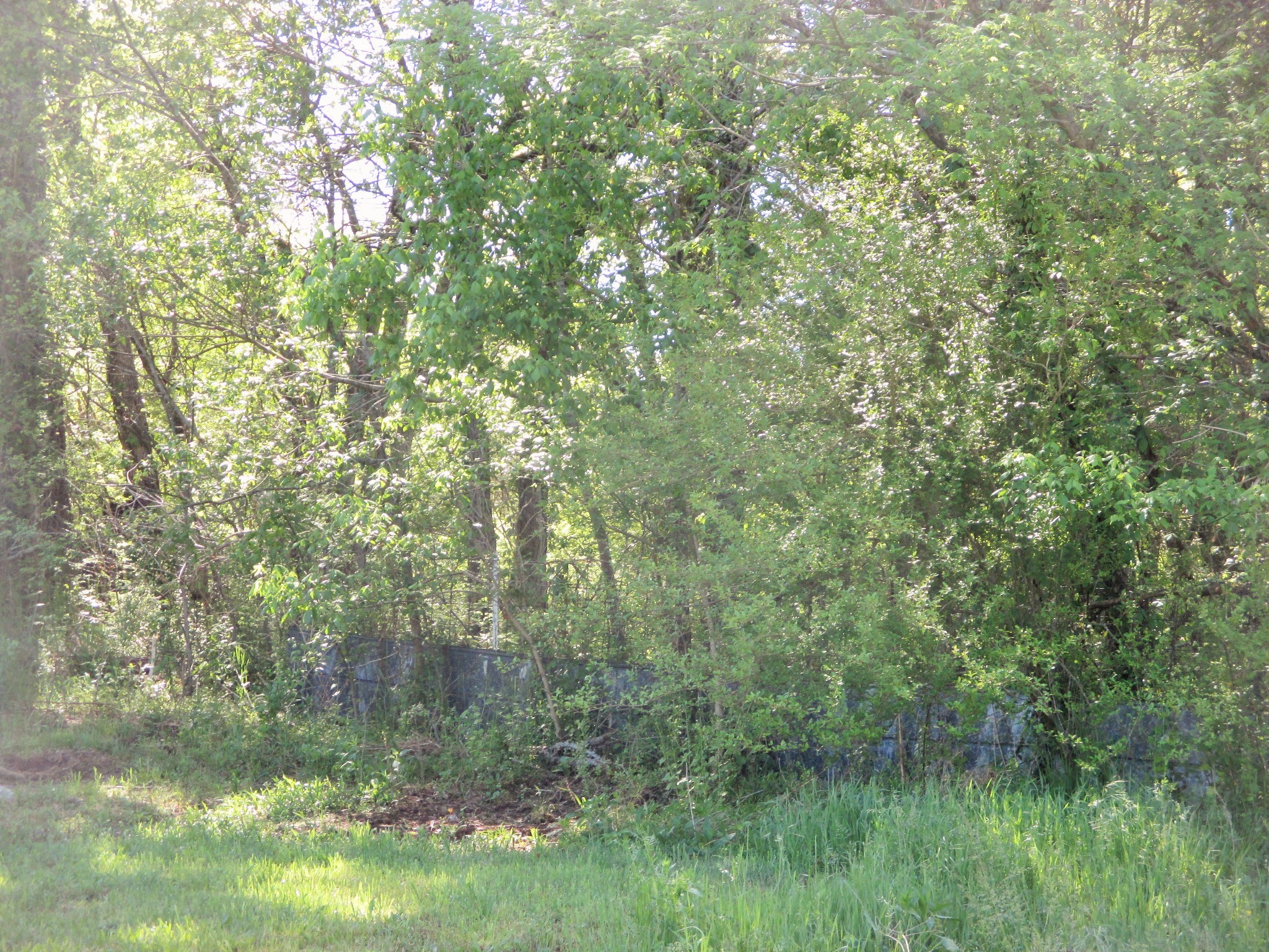 0 Jake Branch Road Beechgrove, TN 37018 - Photo 14 of 23 Gallery Image 14