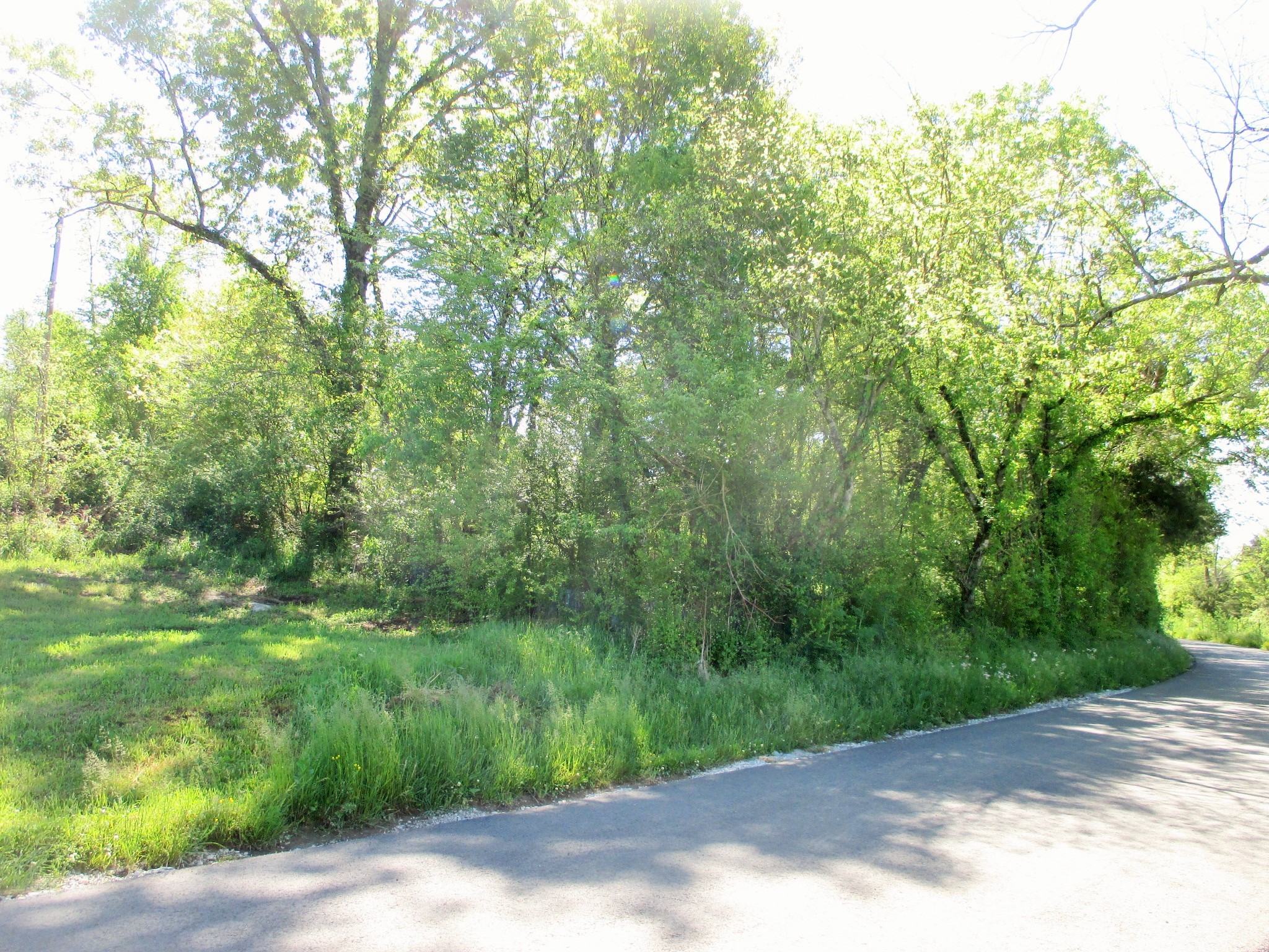 0 Jake Branch Road Beechgrove, TN 37018 - Photo 15 of 23 Gallery Image 15