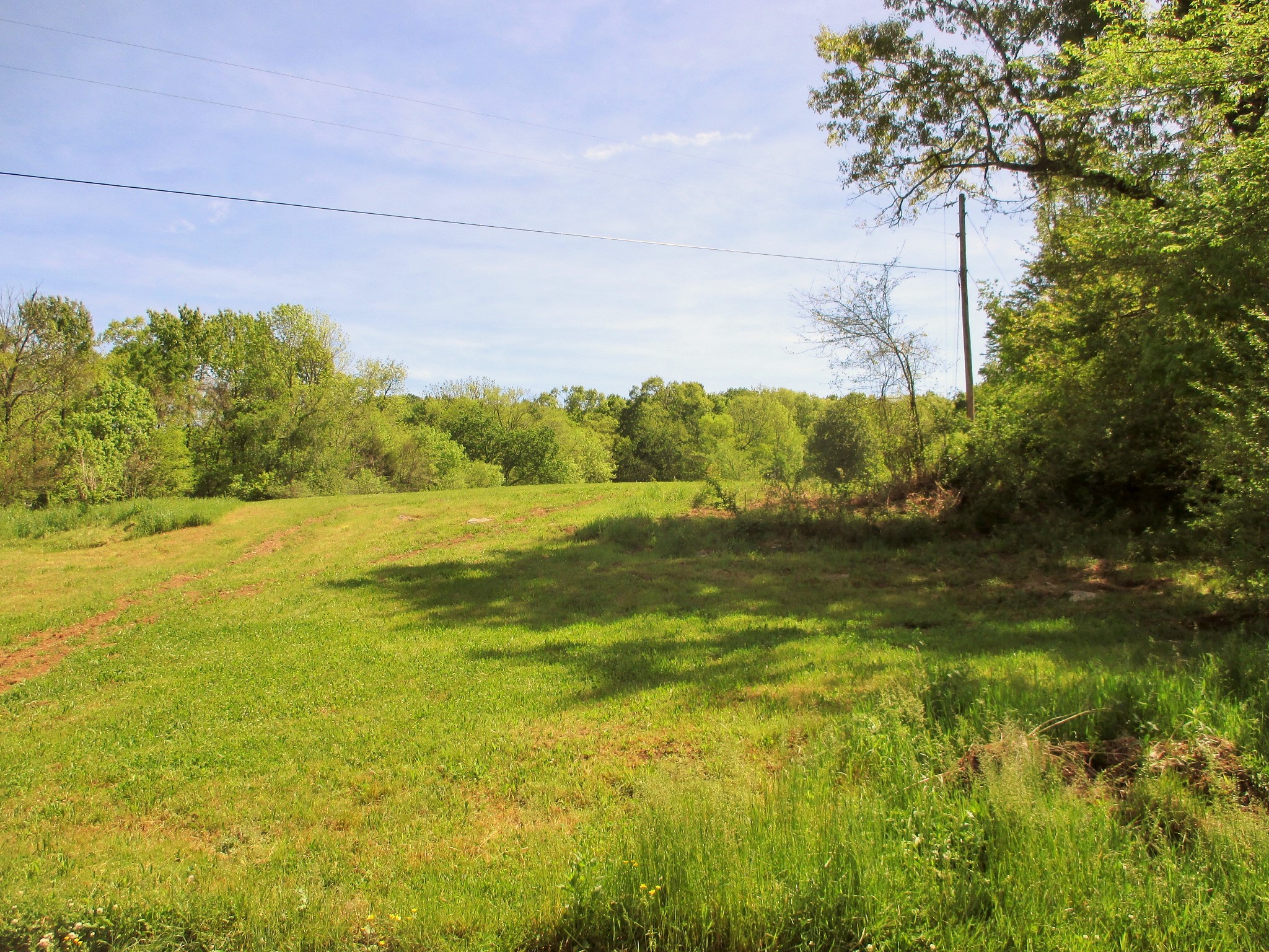 0 Jake Branch Road Beechgrove, TN 37018 - Photo 17 of 23 Gallery Image 17