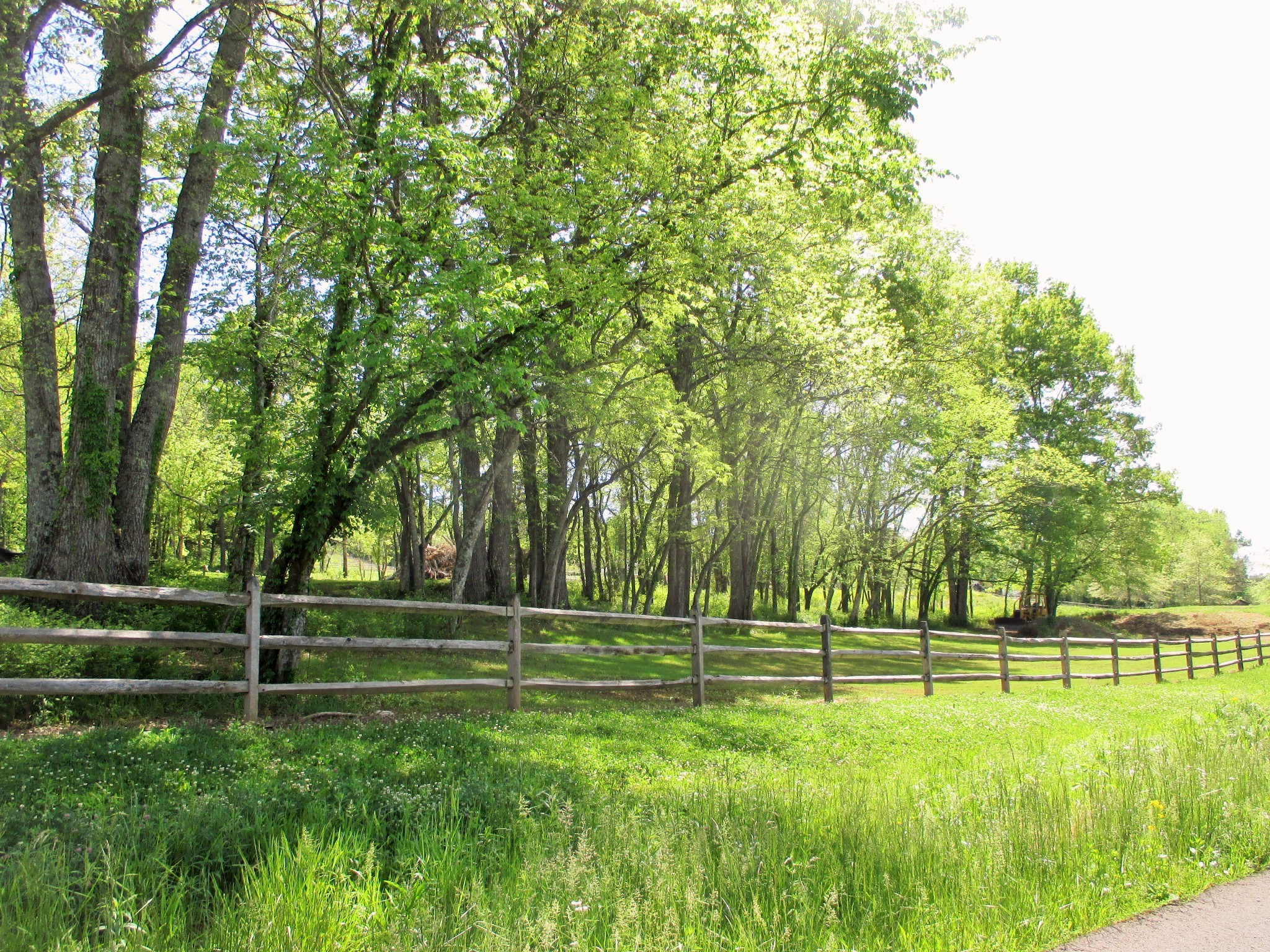 0 Jake Branch Road Beechgrove, TN 37018 - Photo 18 of 23 Gallery Image 18