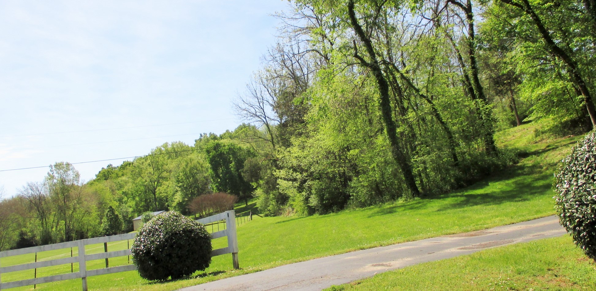 0 Jake Branch Road Beechgrove, TN 37018 - Photo 19 of 23 Gallery Image 19