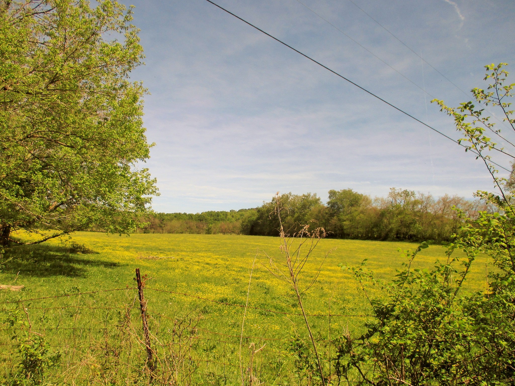 0 Jake Branch Road Beechgrove, TN 37018 - Photo 20 of 23 Gallery Image 20