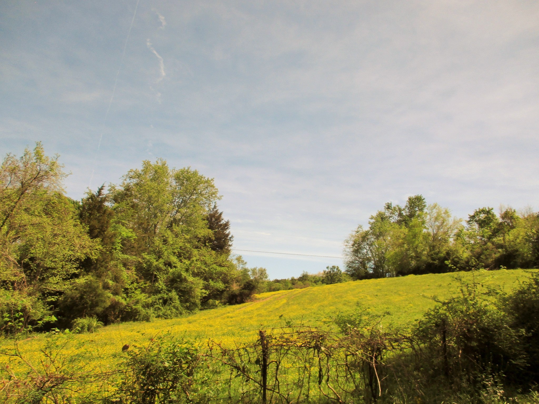 0 Jake Branch Road Beechgrove, TN 37018 - Photo 21 of 23 Gallery Image 21