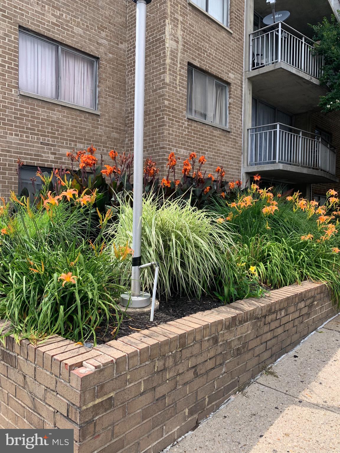 1836 Metzerott Road, Unit 1706 Adelphi, MD 20783 - Photo 36 of 44 EXTERIOR