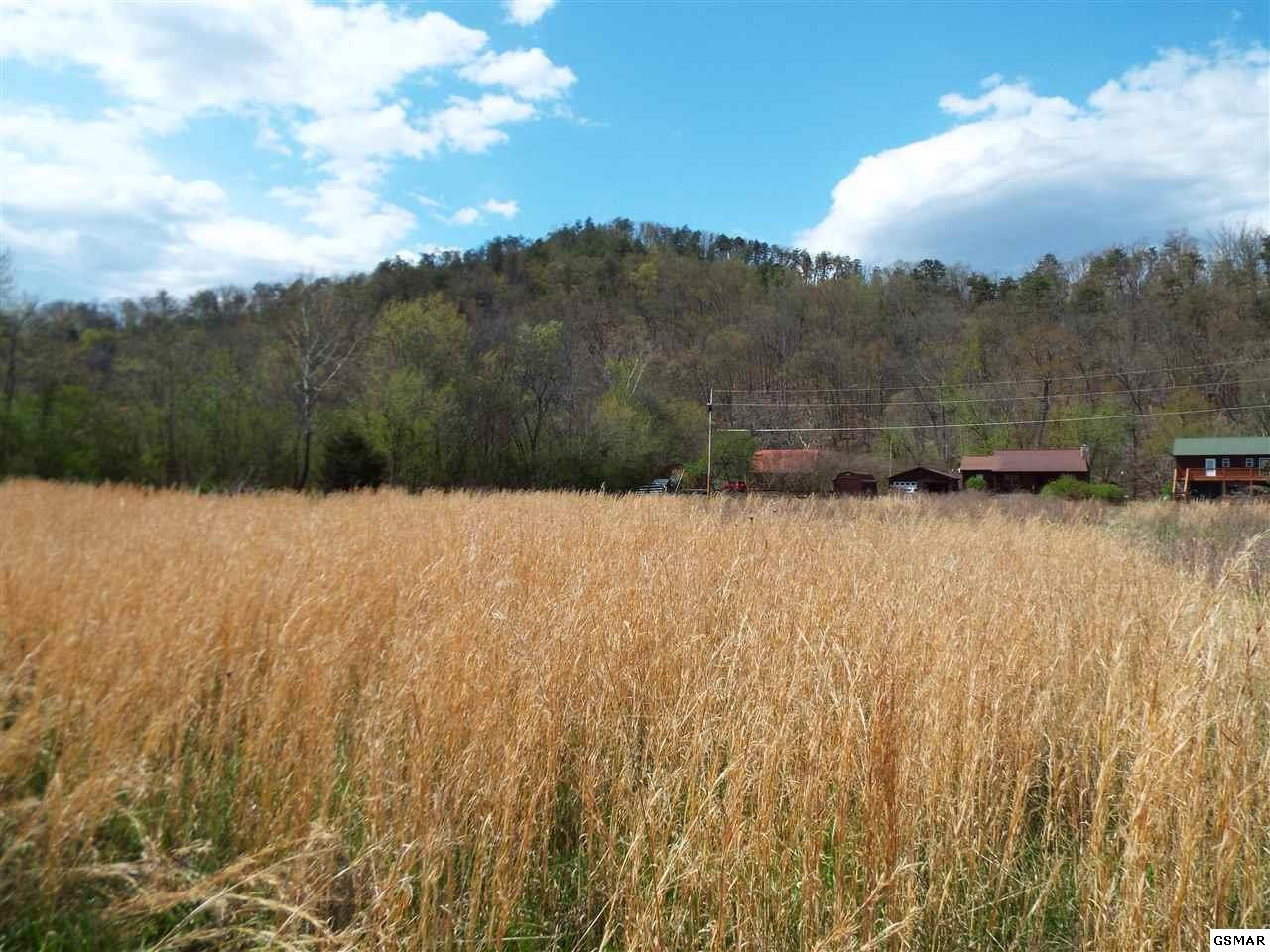 9 Padgett Mill Road Cosby, TN 37722 - Photo 17 of 25 Gallery Image 17