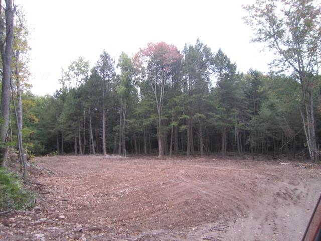 13 Salem Ridge Road Parksville, NY 12768 - Photo 1 of 1 Gallery Image 1