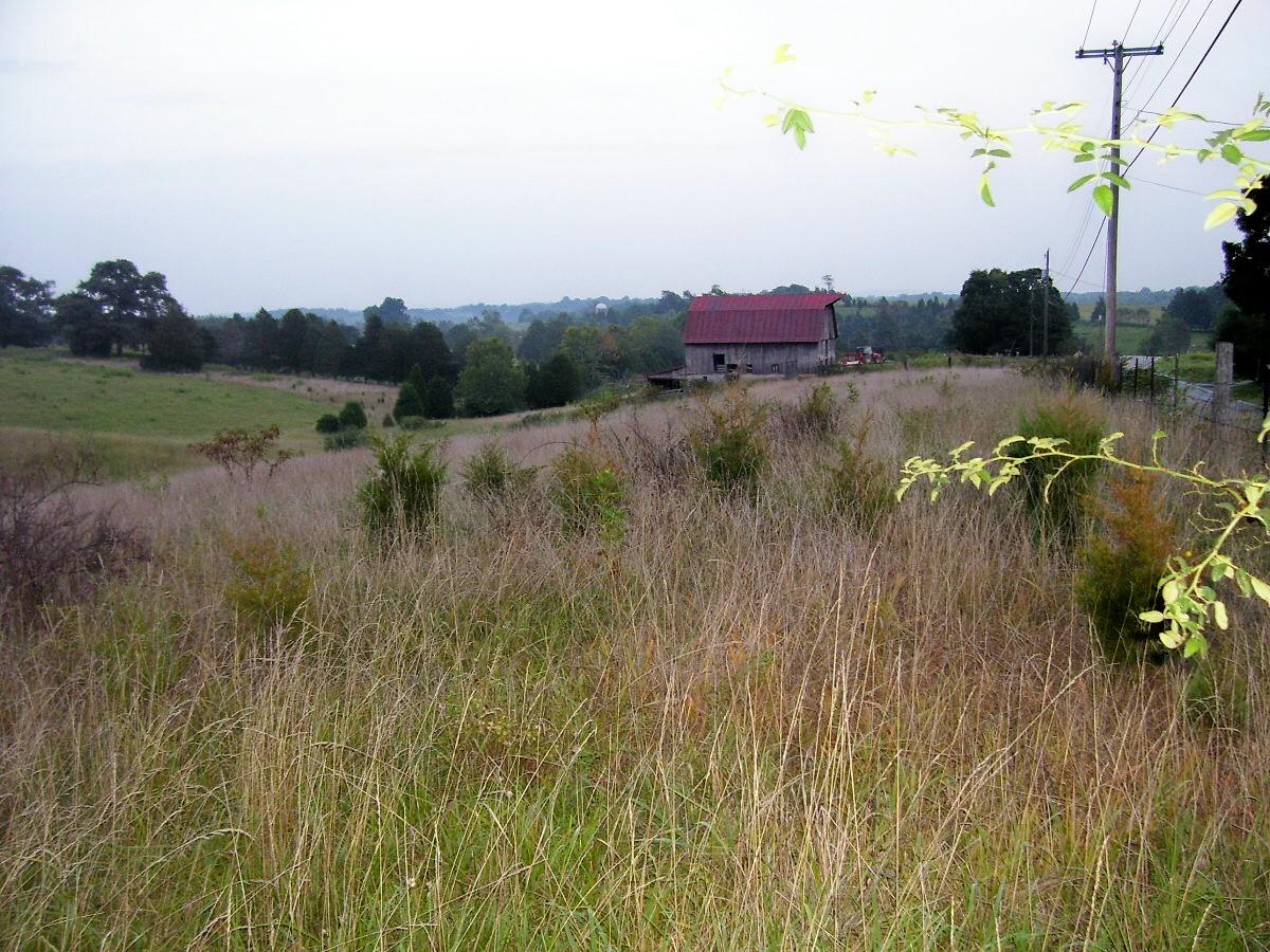 Lot 2 Timber Ridge Road Bedford, VA 24523 - Photo 3 of 3 a view of a lake with houses
