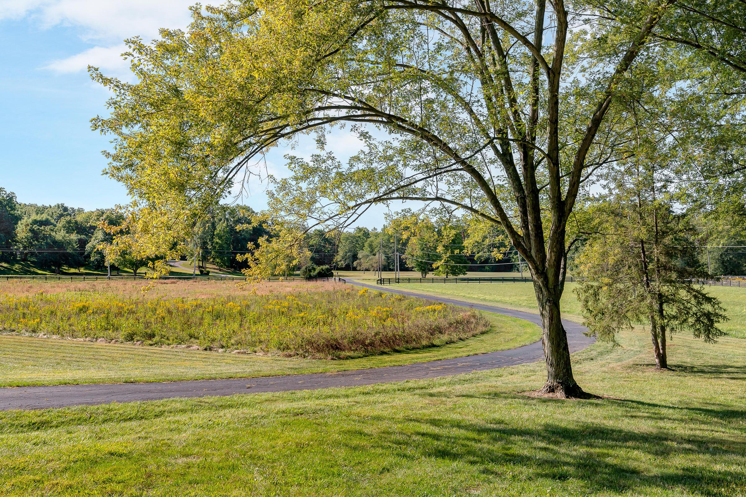 6748 Merchant Road Delaware, OH 43015 - Photo 42 of 63 Gallery Image 42