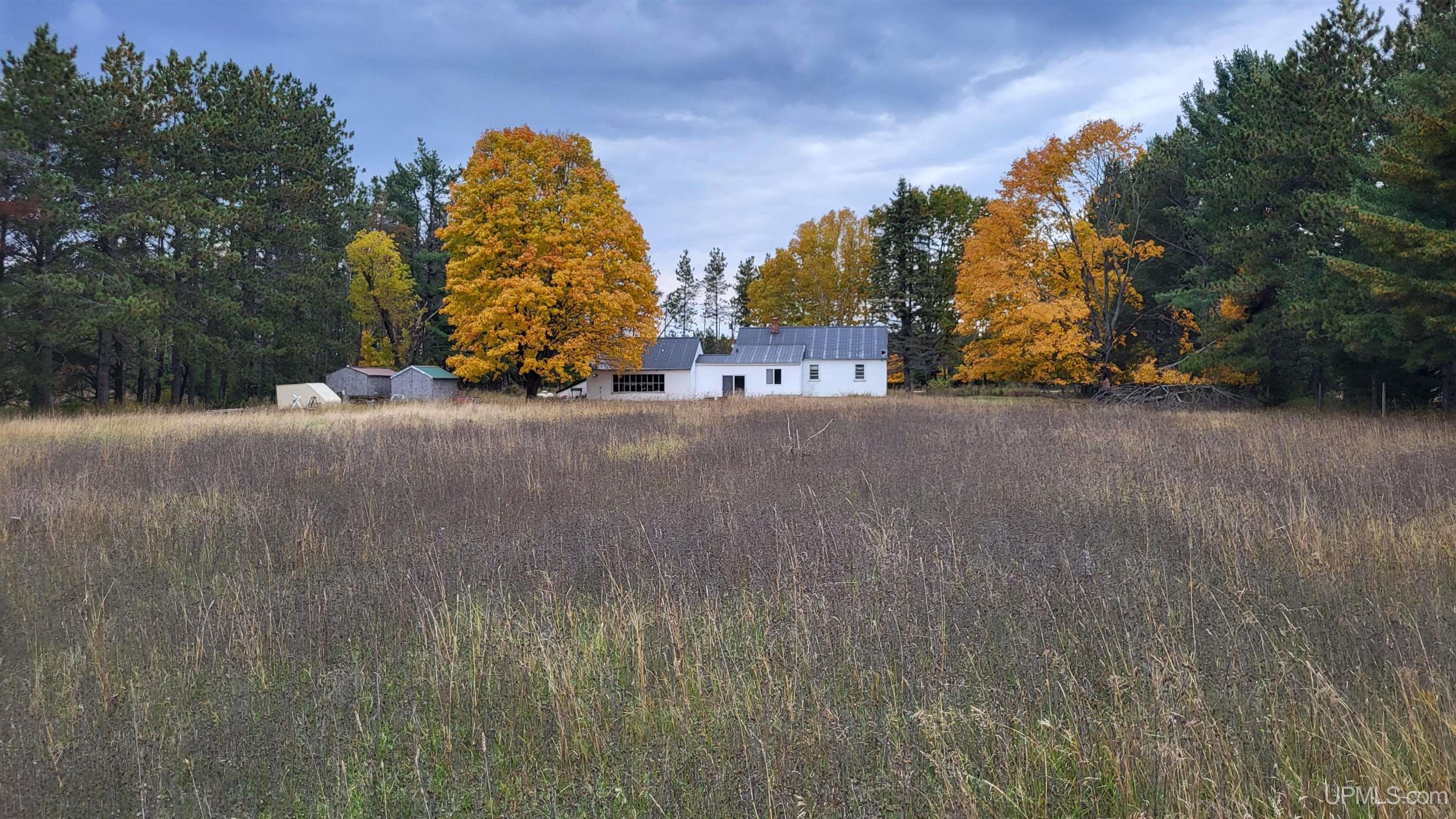 9406 East Traynor Road Goetzville, MI 49736 - Photo 5 of 18
