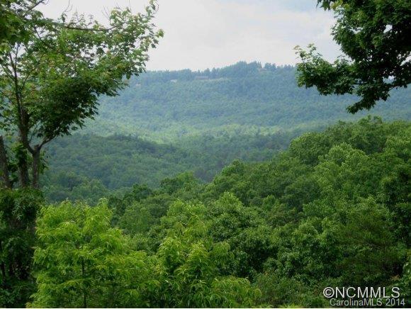 145 Staton Ridge Road Saluda, NC 28773 - Photo 2 of 16