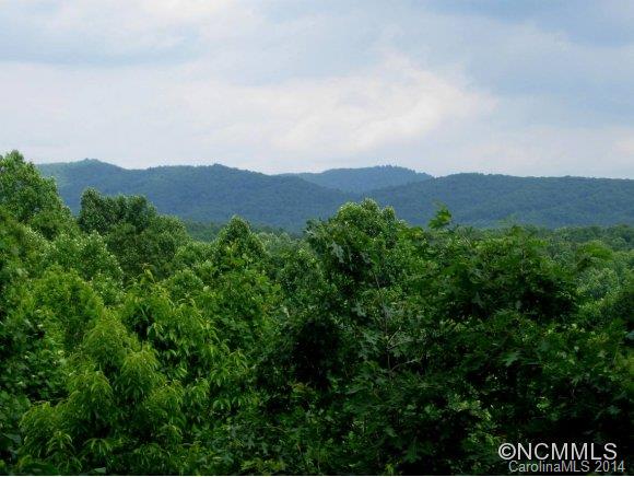 145 Staton Ridge Road Saluda, NC 28773 - Photo 4 of 16