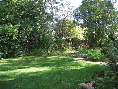 Backyard w/grassy area and trees