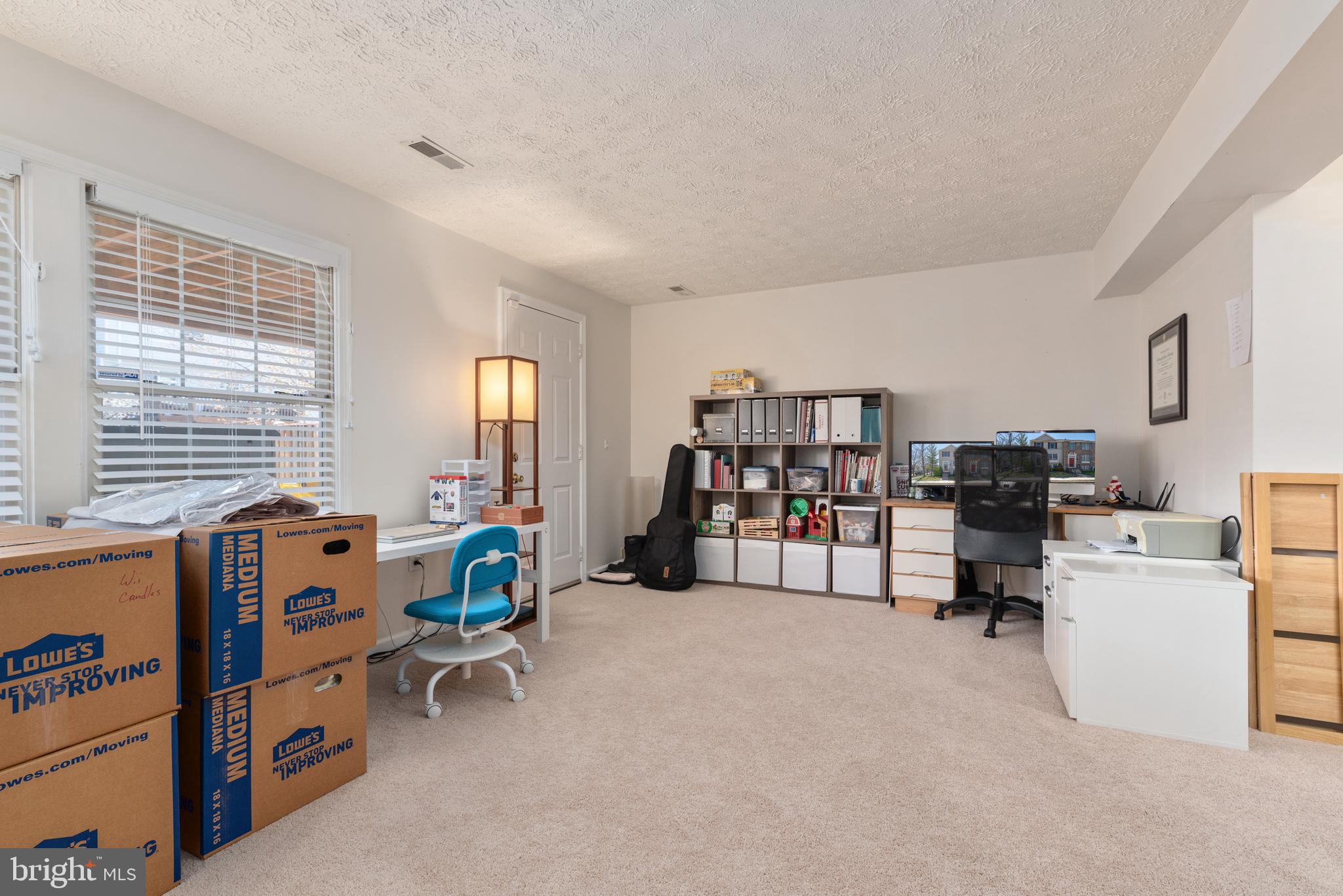 Lower Level Family Room w/ Walkout to Backyard