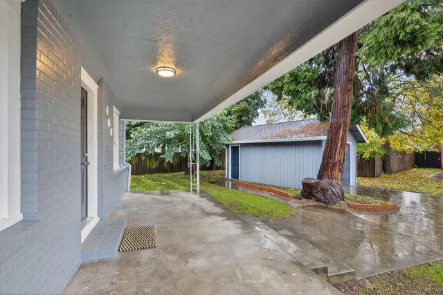 a view of a backyard with a large tree