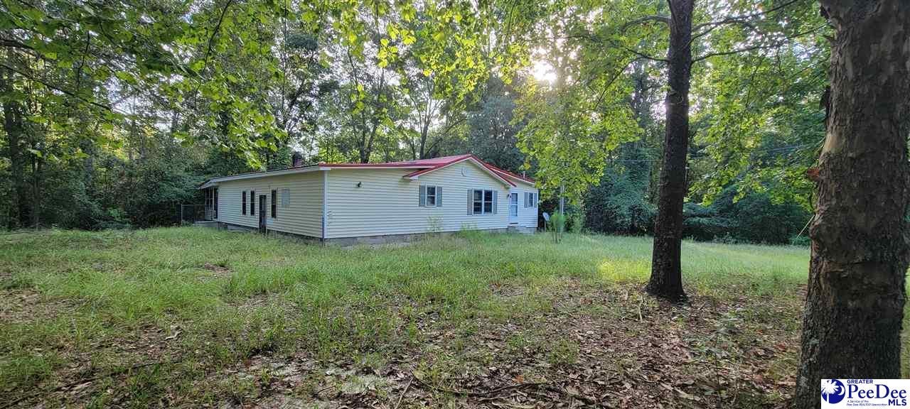 Tbd Cottingham Road Clio, SC 29525 - Photo 9 of 17 Gallery Image 9