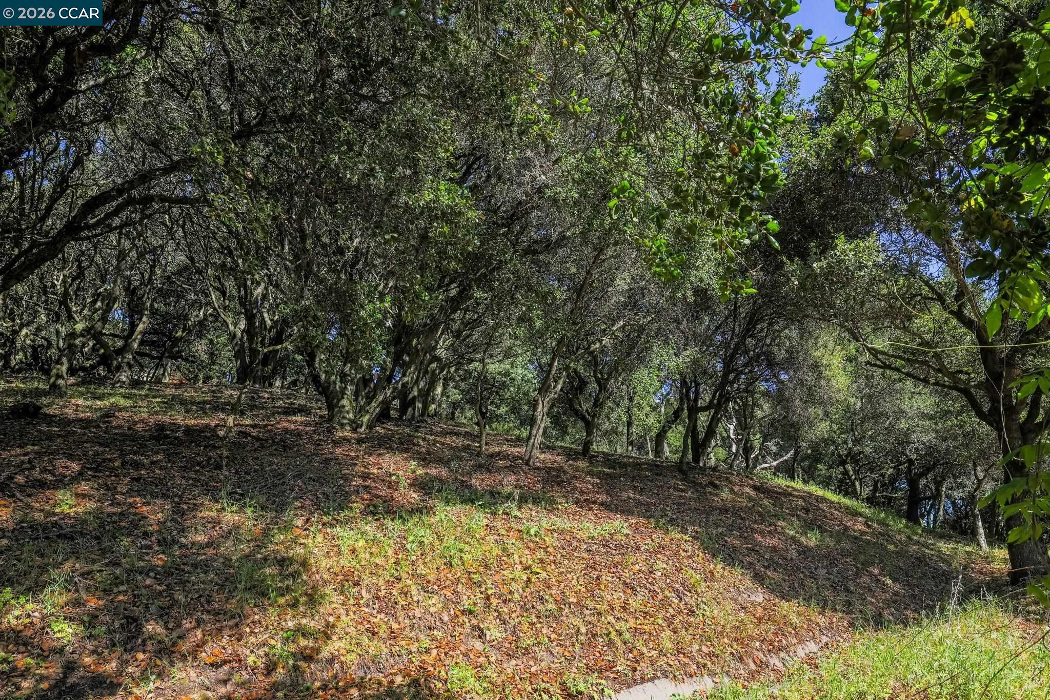 3821 Painted Pony Road Richmond, CA 94803 - Photo 30 of 31