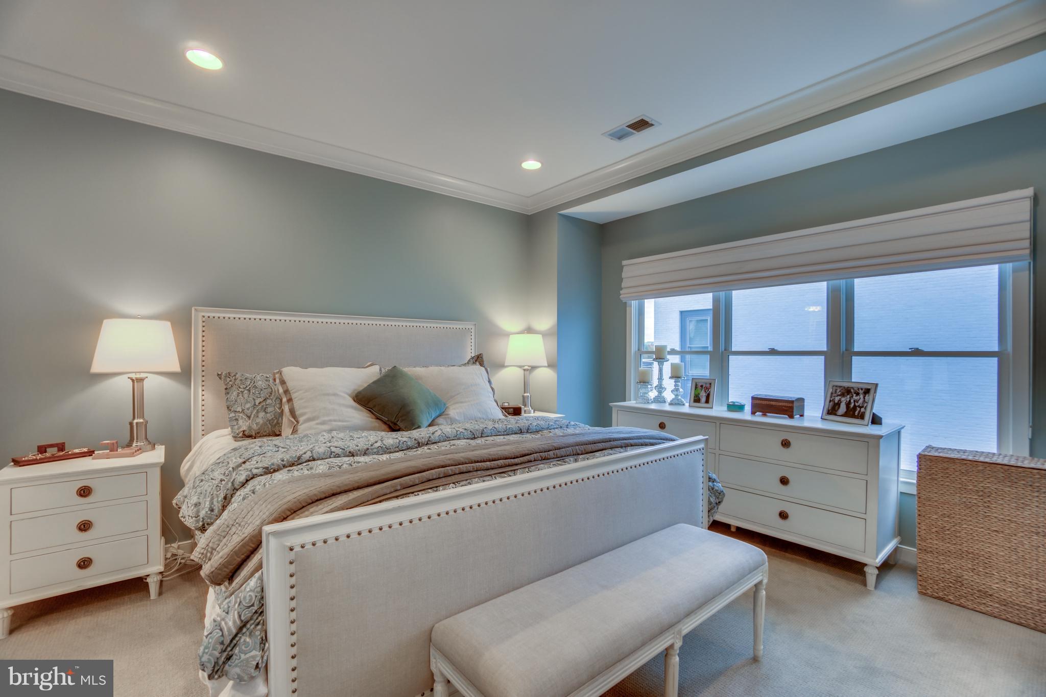 826 First Street Alexandria, VA 22314 - Photo 15 of 31 Serene master with lovely natural light