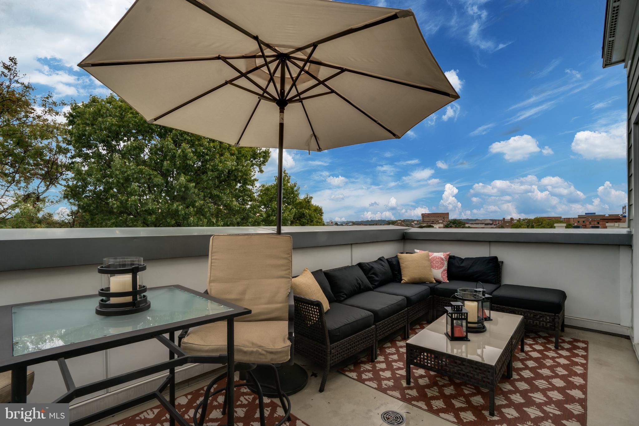 826 First Street Alexandria, VA 22314 - Photo 26 of 31 Rooftop Terrace-Winter view of Washington Monument