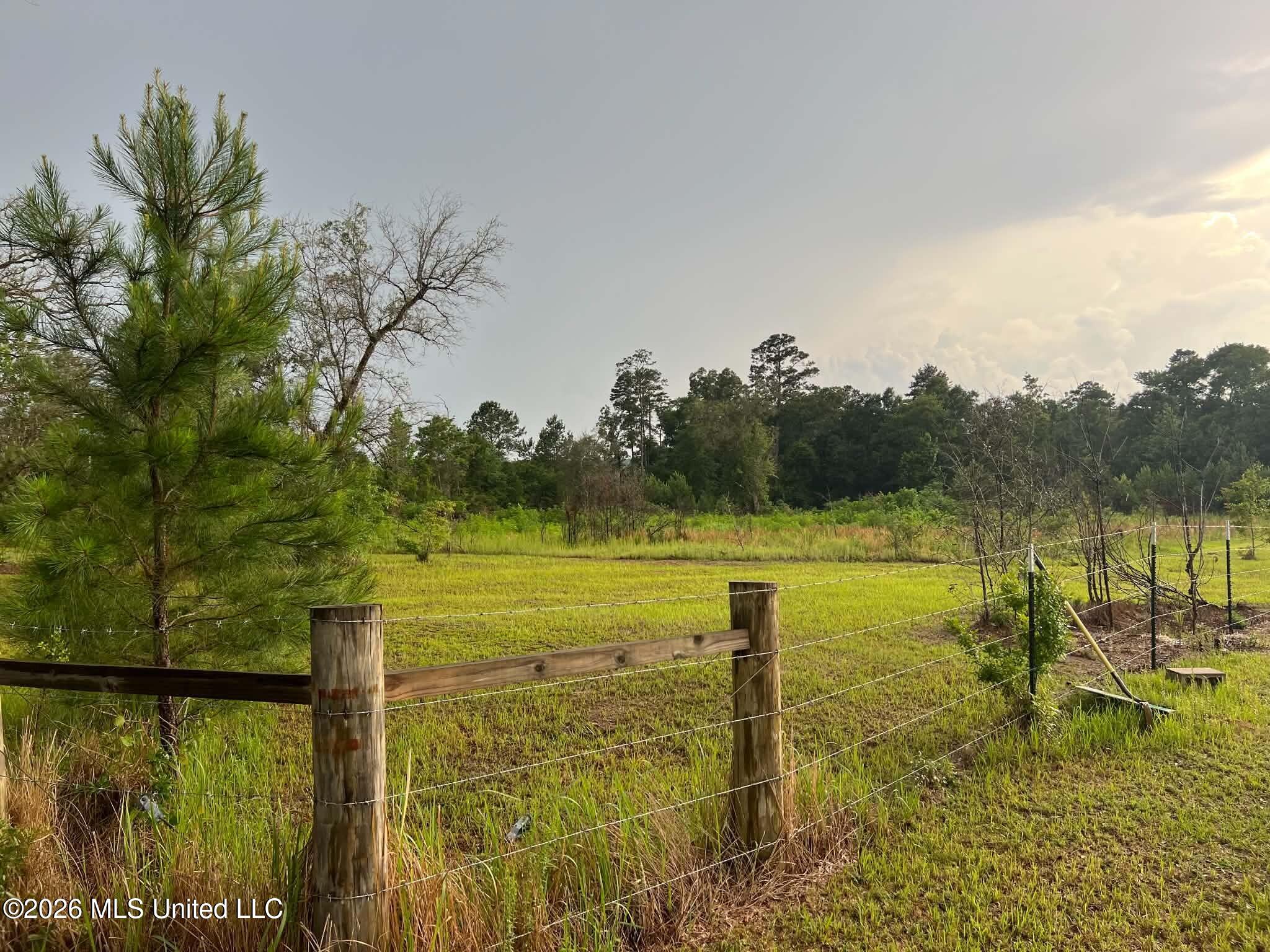 1882 McInnis Vernal Road Lucedale, MS 39452 - Photo 8 of 20 711618817_1287483246835086_4359997667402