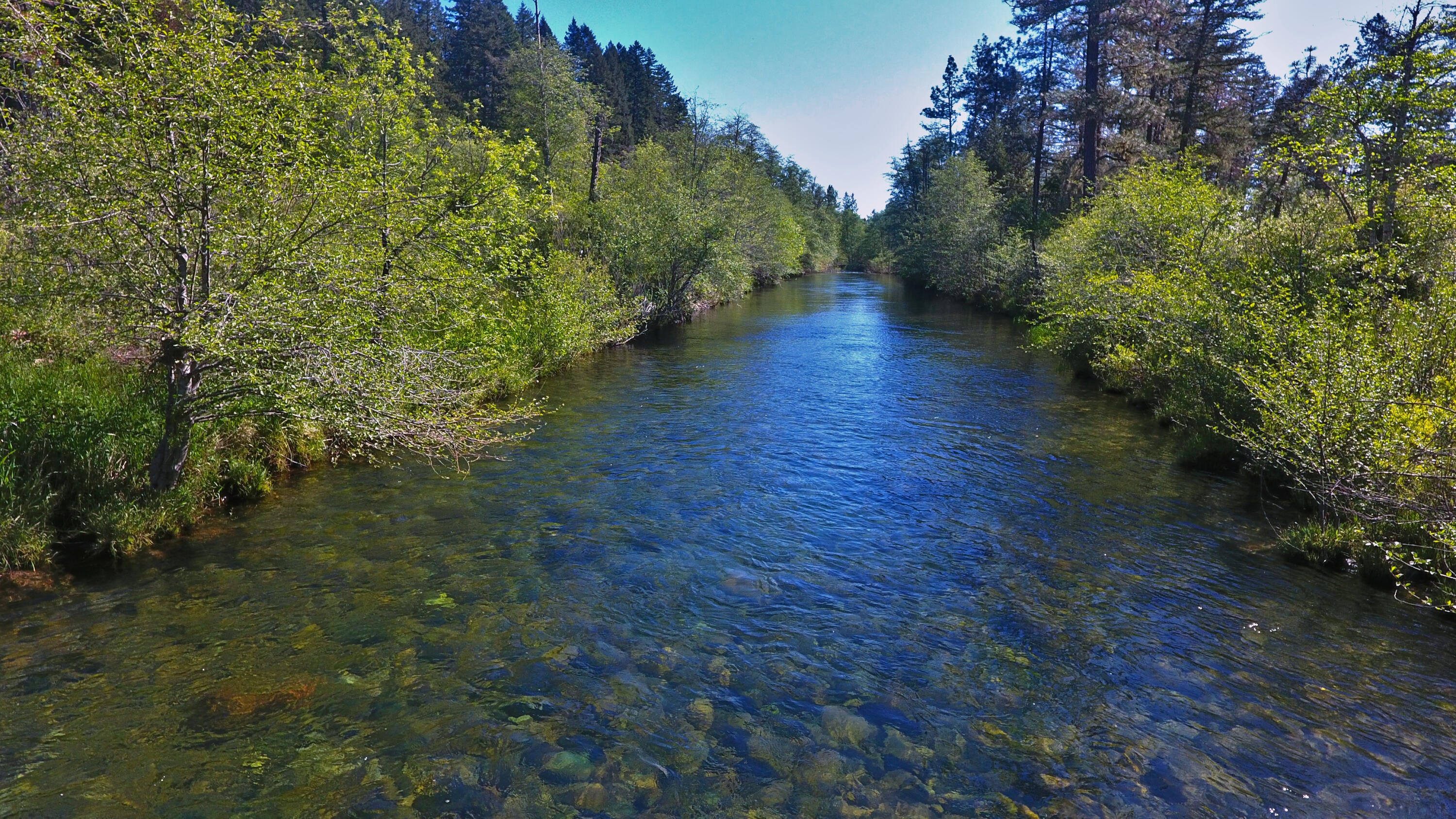 1425 Lone Mountain Road O'Brien, OR 97534 - Photo 9 of 14 DJI_0261