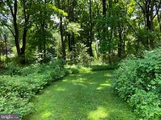 2735 Edge Hill Road Huntingdon Valley, PA 19006 - Photo 15 of 17 Yard