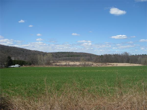 122 Mt Warner Road Hadley, MA 01035 - Photo 6 of 6 Gallery Image 6