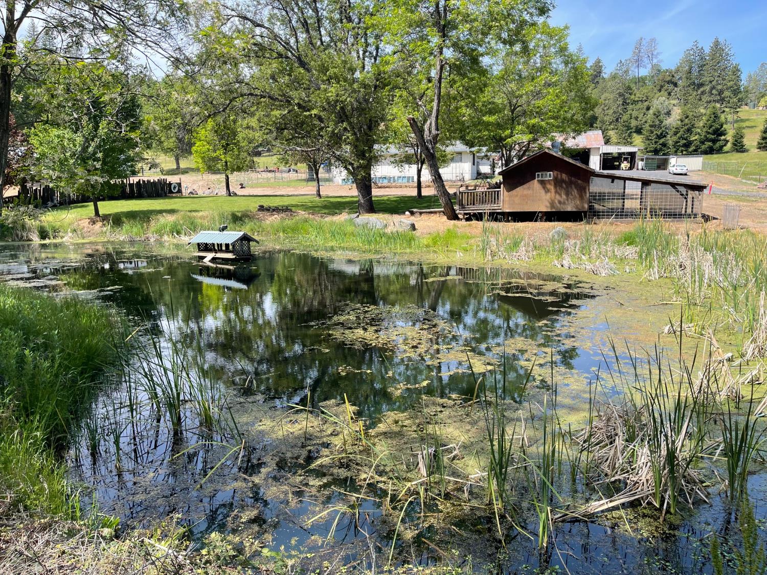 22025 Ferretti Road Groveland, CA 95321 - Photo 25 of 92 Serene year around pond~