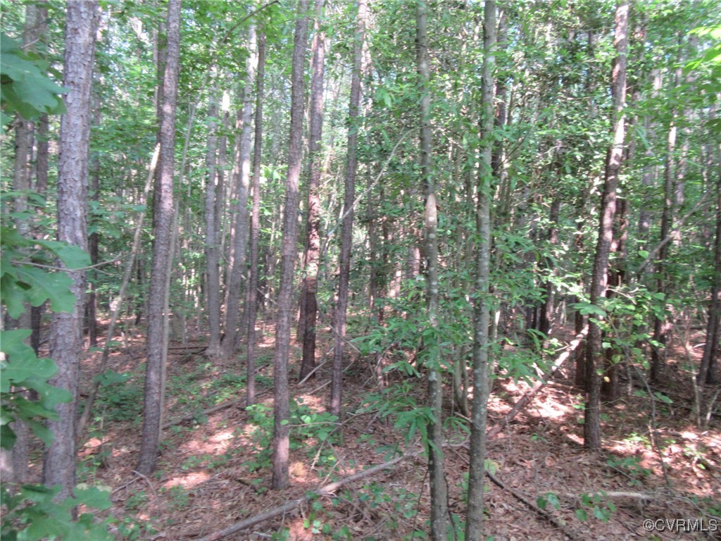 36-c1 Duncan Road Petersburg, VA 23803 - Photo 1 of 1 Gallery Image 1