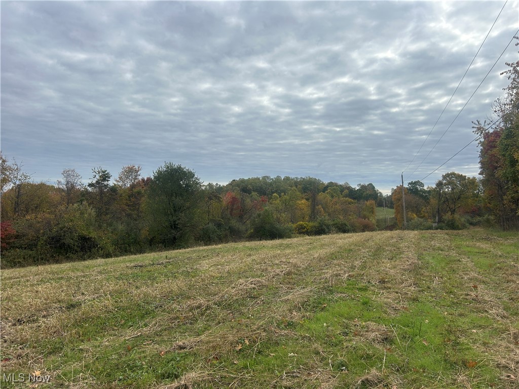 0 Pert Hill Road Hopewell, OH 43746 - Photo 7 of 14