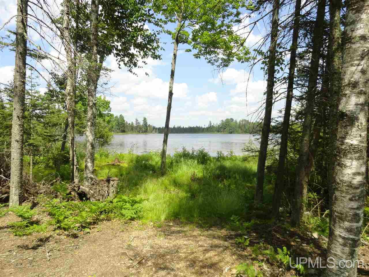 1890 South Helen Lake Road Ishpeming, MI 49849 - Photo 6 of 19 Gallery Image 6